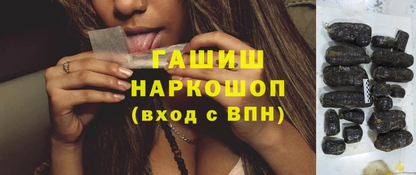 индика Богородск