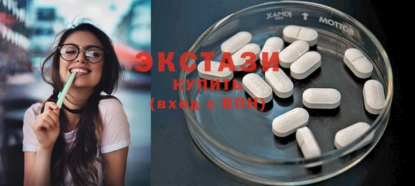 индика Богородск