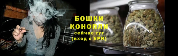 гидра Богданович