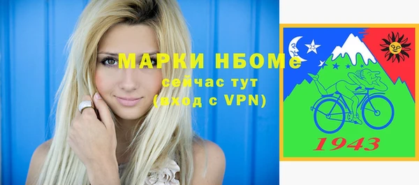 индика Богородск