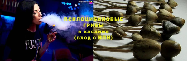 индика Богородск
