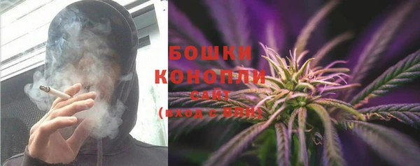 индика Богородск