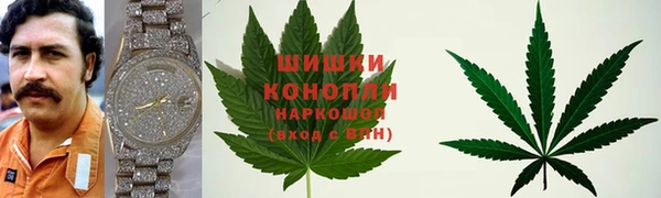 индика Богородск