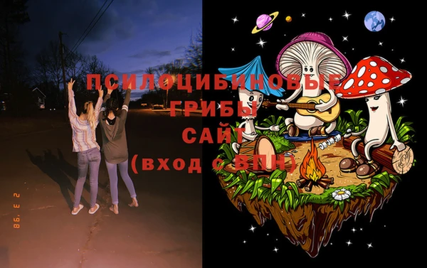 шишки Белоозёрский