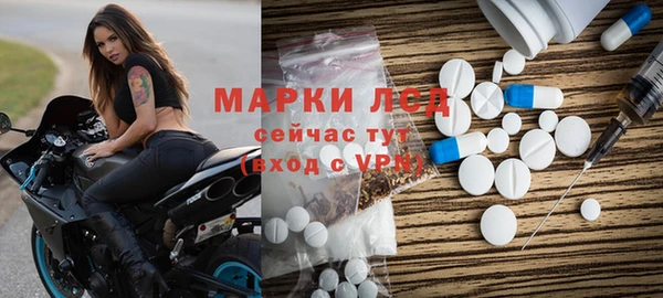 гидра Богданович