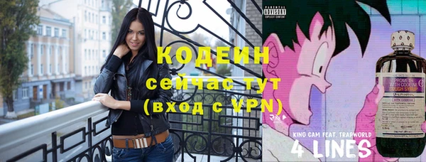 МДПВ Слюдянка