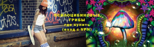шишки Белоозёрский