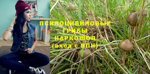 прущие грибы Снежинск