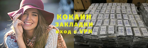 шишки Белоозёрский