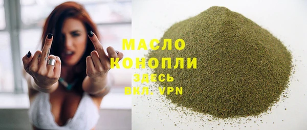 гидра Богданович