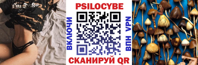 Псилоцибиновые грибы Cubensis  наркота  сайты даркнета наркотические препараты  Дмитриев 